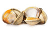 Cockles in Brine