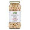 ZONA Judion Large Butter Bean
