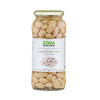 ZONA Judion Large Butter Bean