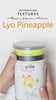 TEXTURAS Lyo Pineapple 100gr/3.52oz