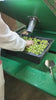 Olivar SANTAMARIA Picual Extra Virgin Olive Oil