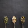Pine Nuts Kernels