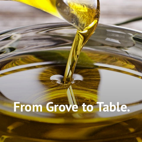 High polyphenol Olive oil from Spain Olivar Santamaria