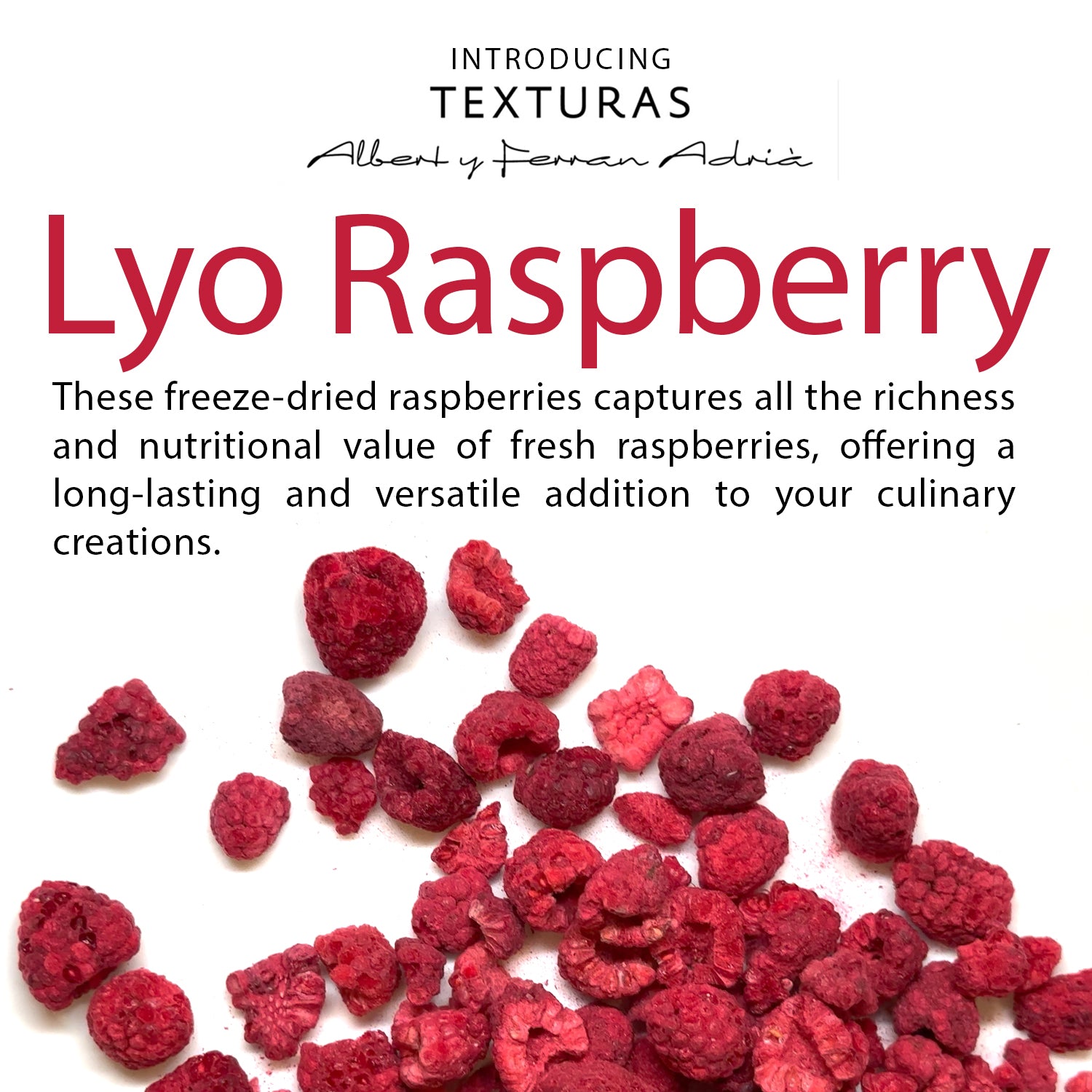 TEXTURAS Lyo Raspberry 100gr/3.52oz