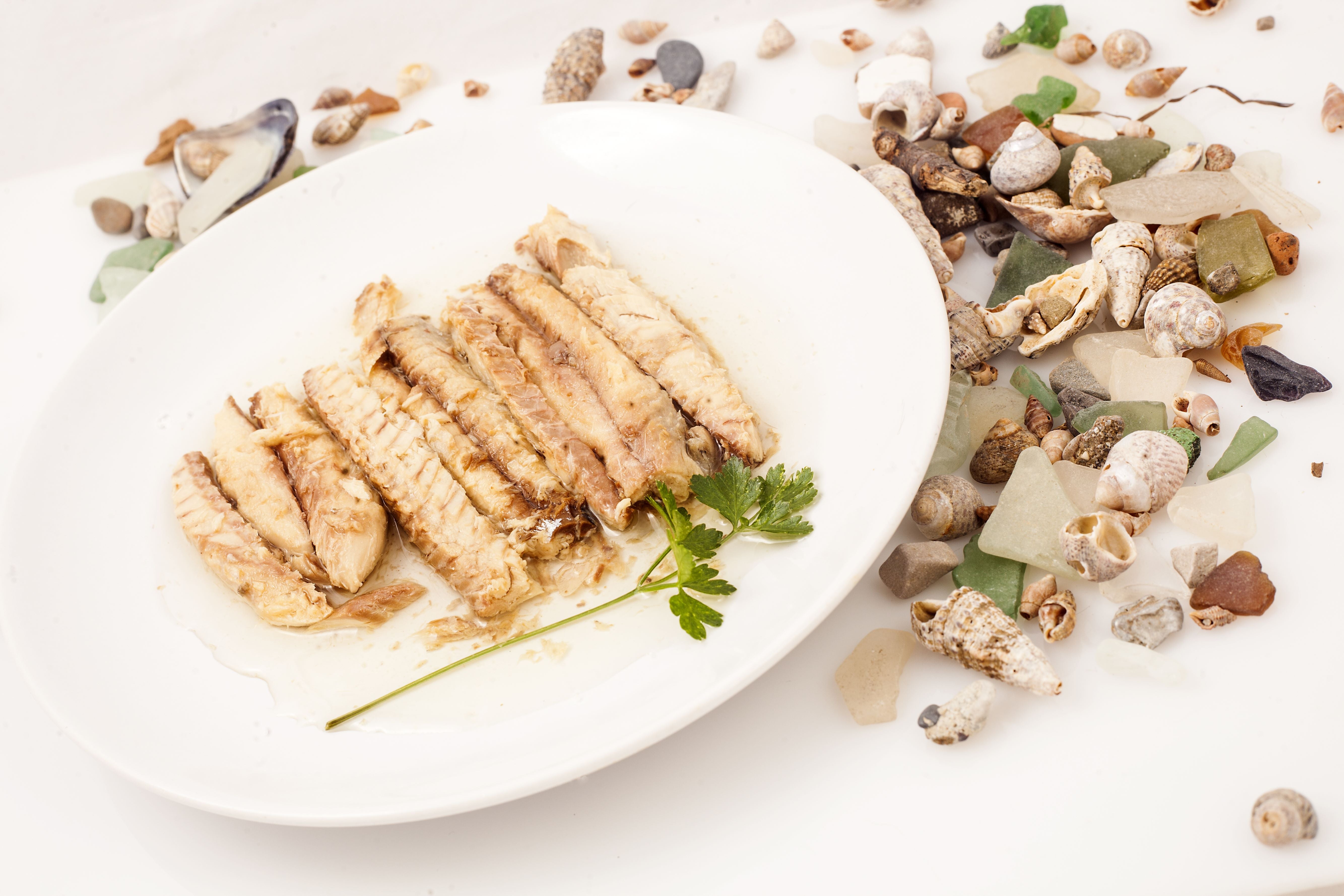 Mackarel filets in olive oil being served, decorated with seashells