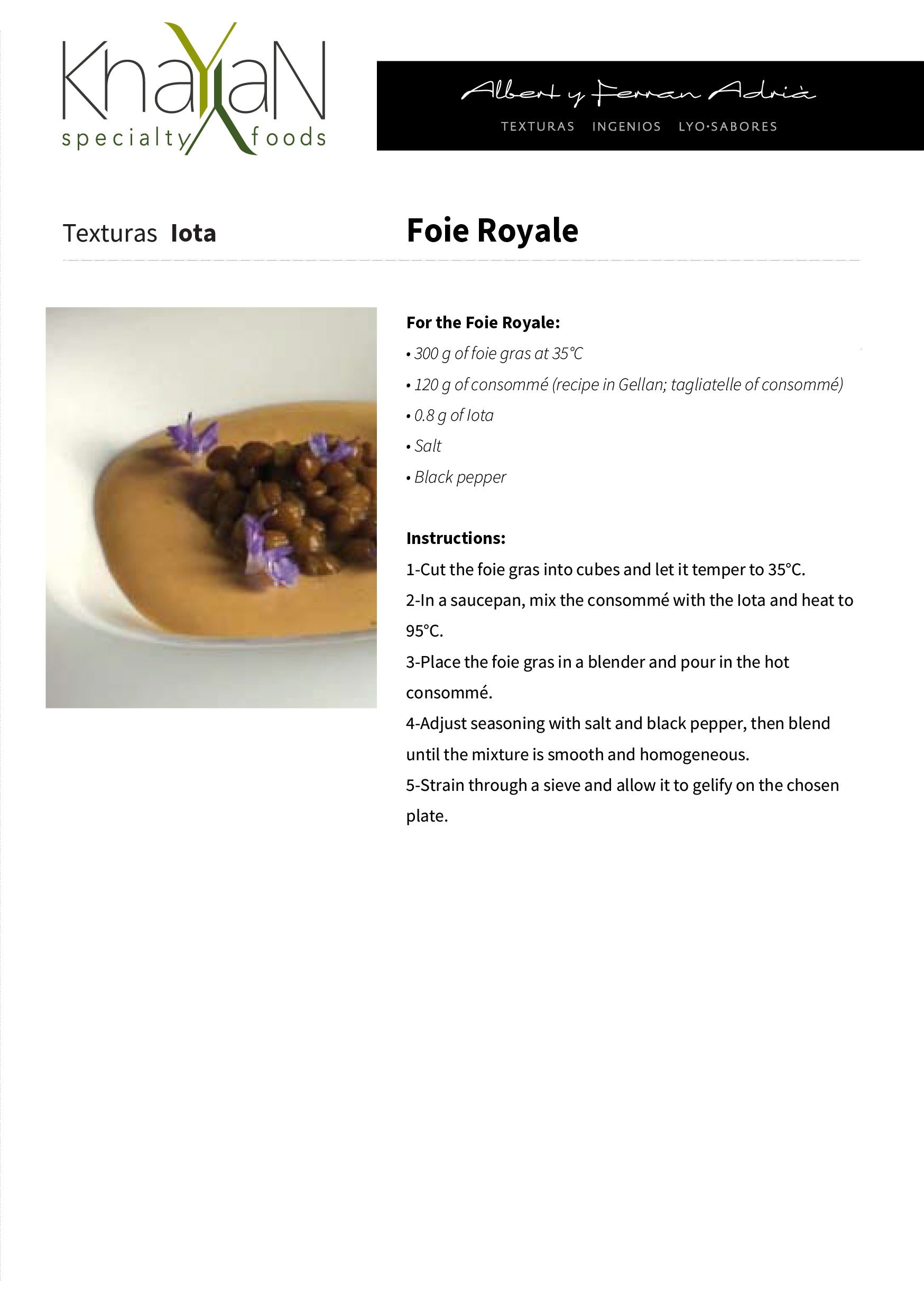 TEXTURAS Iota 500gr/17.6oz