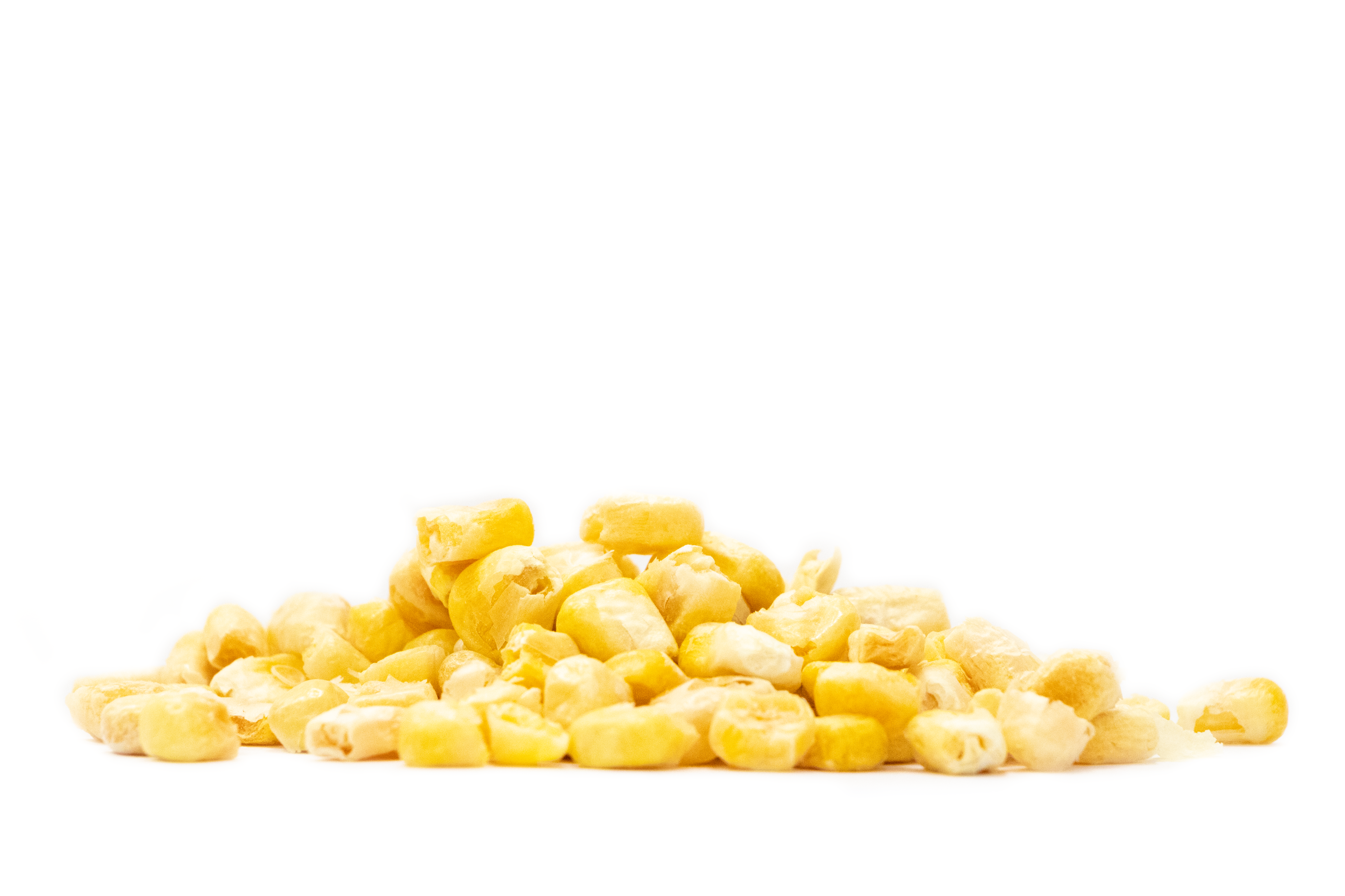 Freeze Dried Corn