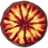 Sanguinelli Blood Orange – ZONA BOTANIC