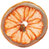 Pomelo Rosso Pink Grapefruit – ZONA BOTANIC