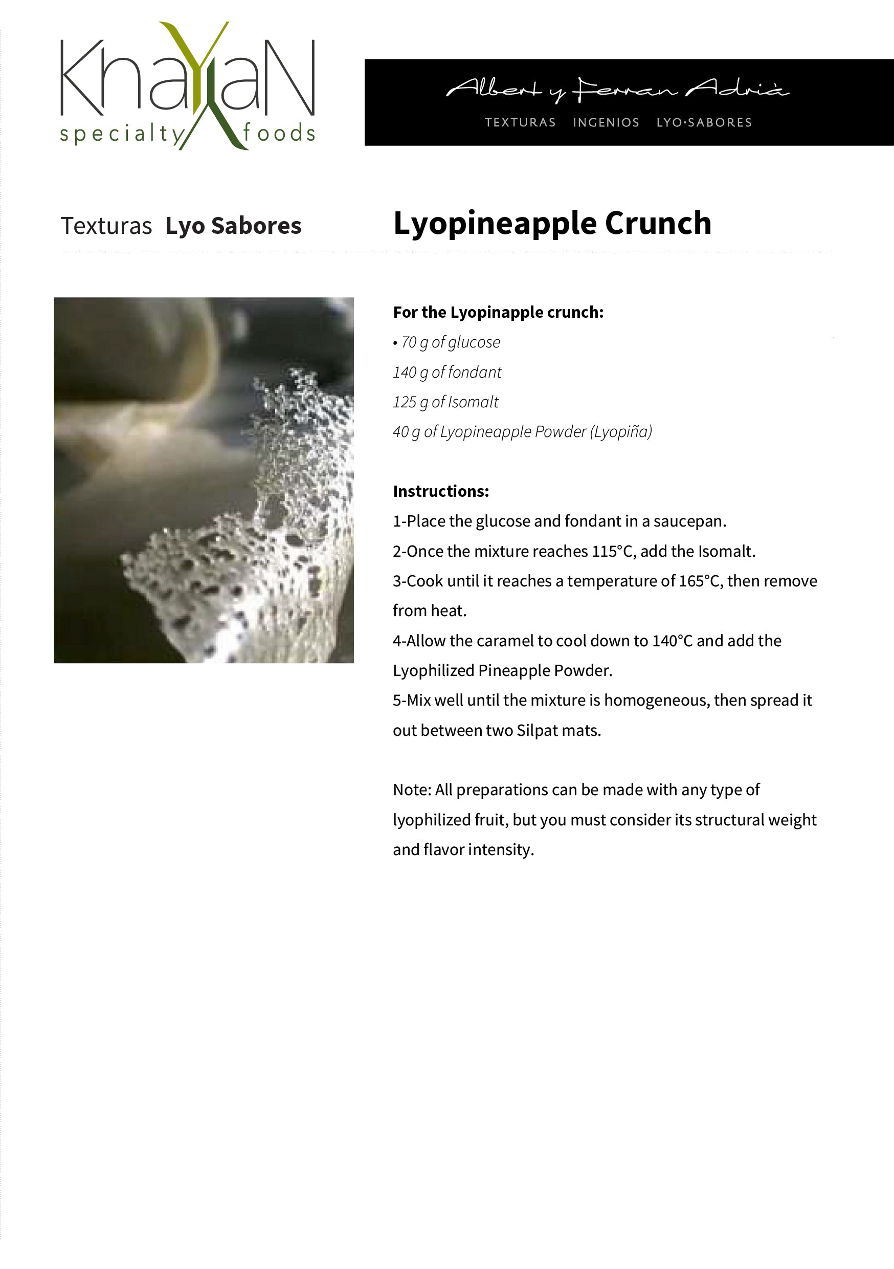 TEXTURAS Lyo Pineapple 100gr/3.52oz