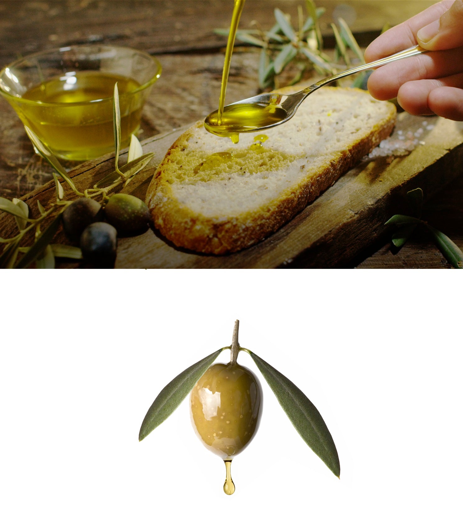 High Polyphenol and Squalene Olive Oil