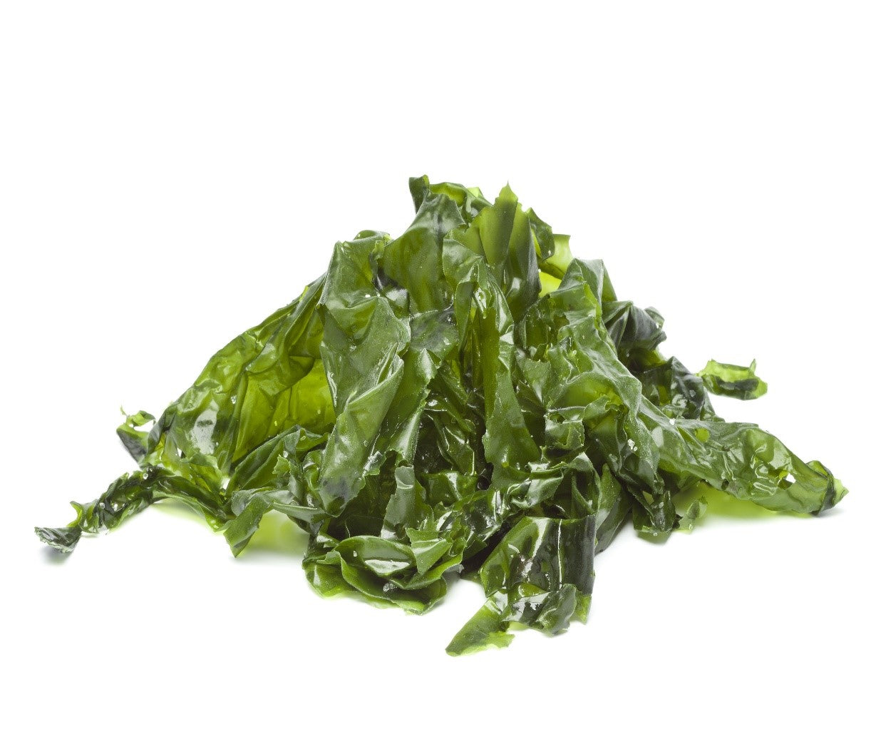 Best Seaweed to eat
